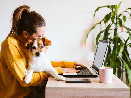 The 5 rules to working from home